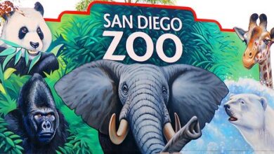 サンディエゴ動物園